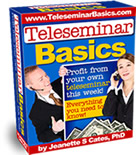 Teleseminar Basics