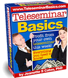 Teleseminar Basics