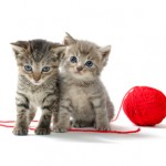 Unravel success strings